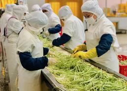 部分连锁餐厅预制菜占比超80%国家层面尚无行业标准