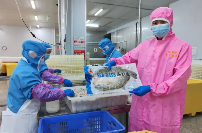 从“菜篮子”到“菜盘子”，台山发力预制菜新赛道
