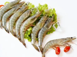 试点对虾预制菜综合险 保障金额达300万元