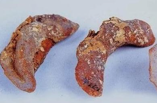 千年前的月饼、饺子、鸡蛋……从“考古食物”看饮食中国